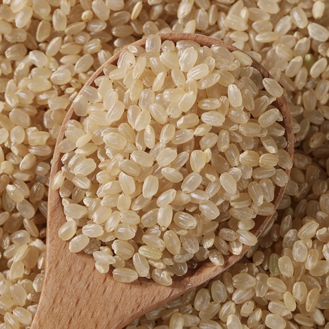 Brown Rice Brown Rice